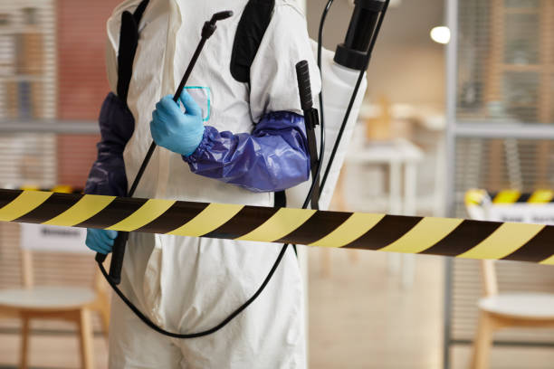 Professional Sewage Cleanup technician working in Fawnskin, CA